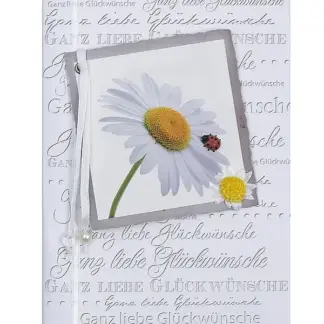 Grußkarte mit Glückwünschen zum Geburtstag oder für verschiedene andere Anlässe*