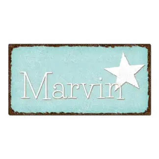 Blechschild im Vintage Look mit Wunschtext 300 x 150mm türkis/braun*