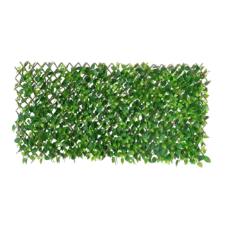 Flexible Pothos Pflanzenwand - Melvin I 130-200 cm*