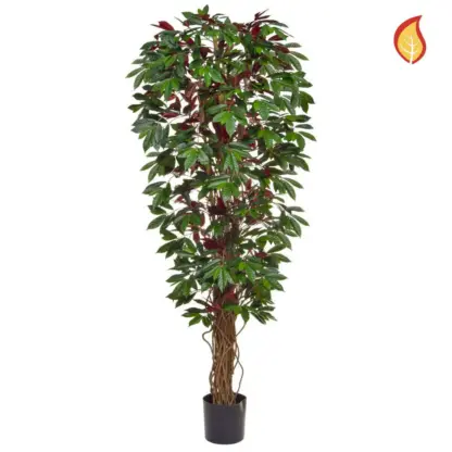 Künstlich Capensia - Carla | 180 cm*