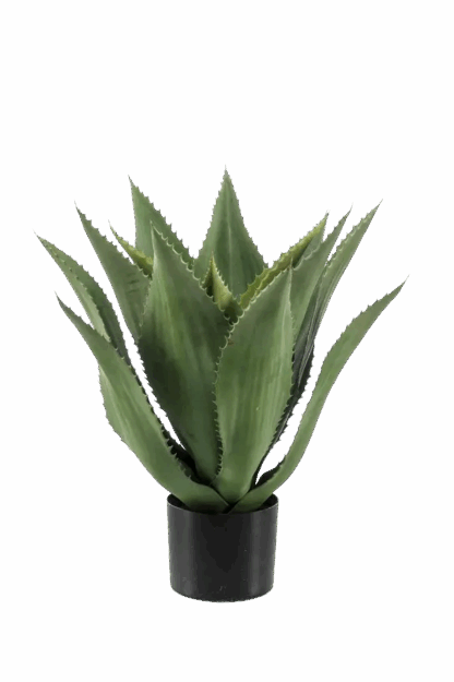 Künstliche Agave - Aki | 55 cm, im Topf*