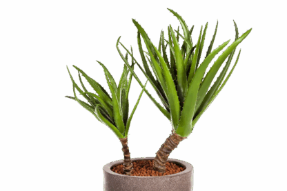 Künstliche Agave - Hanne | 78 cm*