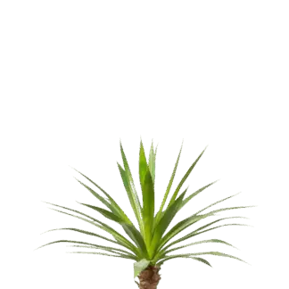 Künstliche Agave - Ole | 60 cm*