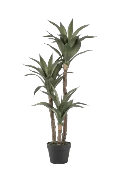 Künstliche Agave - Pepe | 100 cm*