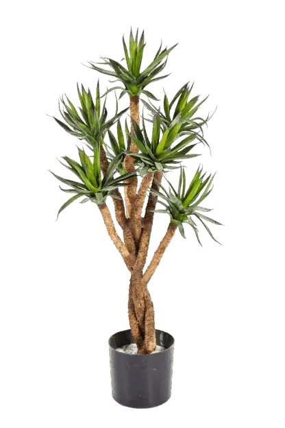 Künstliche Agave - Prince | 70 cm*