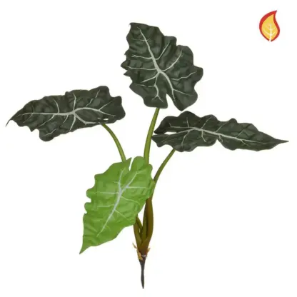 Künstliche Alocasia - Angelika | 49 cm*