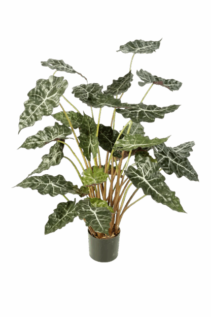 Künstliche Alocasia - Emma | 110 cm*