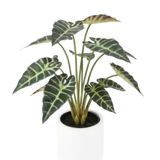 Künstliche Alocasia - Tamika | 70 cm*