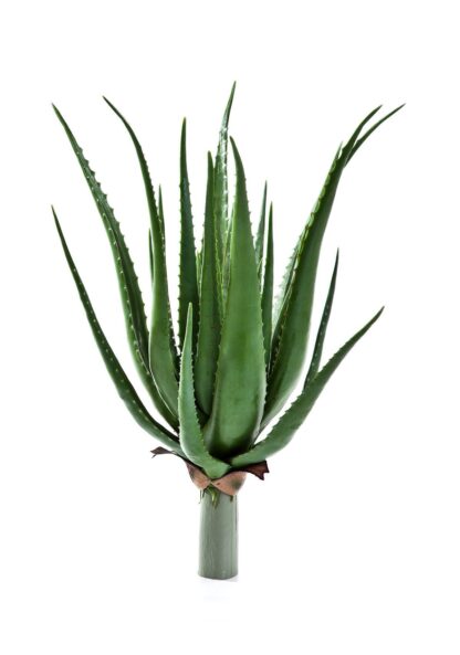 Künstliche Aloe - Anna | 50 cm*