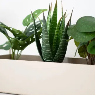 Künstliche Aloe - Patty | 23 cm*