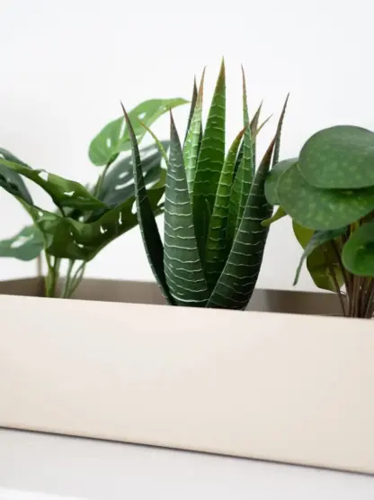Künstliche Aloe - Patty | 23 cm*