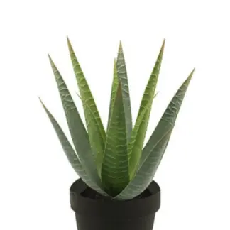 Künstliche Aloe - Patty | 30 cm*