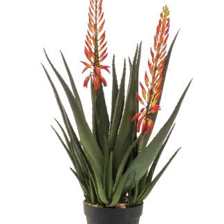 Künstliche Aloe - Paulina | 80 cm*