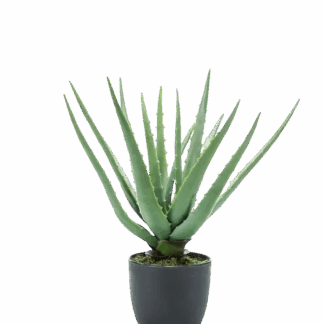 Künstliche Aloe - Penelope | 35 cm*