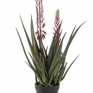 Künstliche Aloe - Philippa | 80 cm*