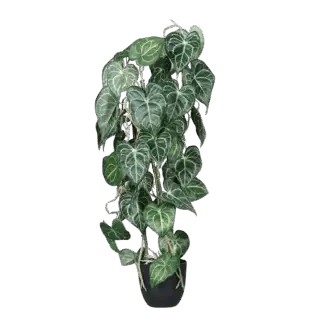 Künstliche Anthurie - Izuku | 80 cm*