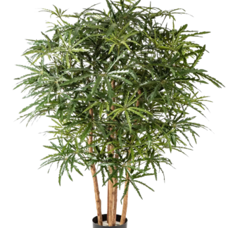 Künstliche Aralia - Tyler | 115 cm*
