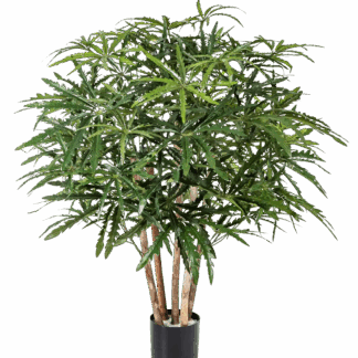 Künstliche Aralia - Tyler | 85 cm*