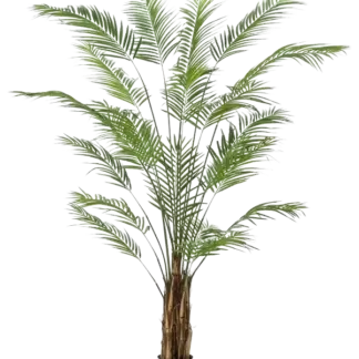 Künstliche Areca Palme - Isaiah | 240 cm*