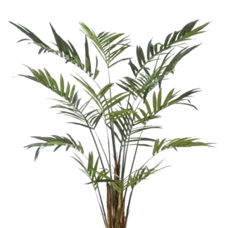 Künstliche Areca Palme - Isaiah | 270 cm*