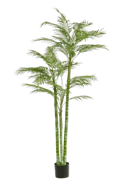Künstliche Areca Palme - Paolo | 195 cm*