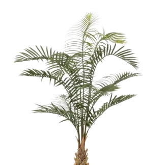 Künstliche Areca Palme - Suri | 120 cm*