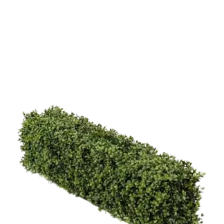 Künstliche Buchsbaumhecke - Jannis | 100x25cm*