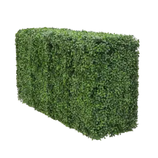 Künstliche Buchsbaumhecke - Jonas | 100x50 cm*