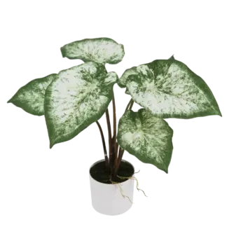 Künstliche Caladium - Dalia | 45 cm*