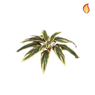 Künstliche Caladium - Erwin | 37 cm*