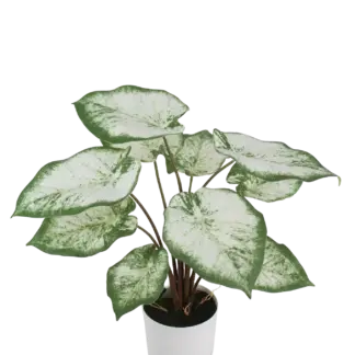 Künstliche Caladium - Noelia | 55 cm*
