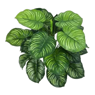 Künstliche Calathea - Clara | 45 cm*