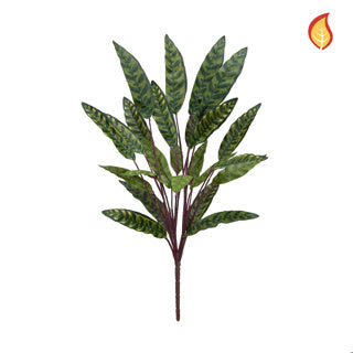 Künstliche Calathea - Elias | 65 cm*