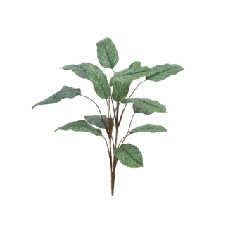 Künstliche Calathea - Pius | 112 cm*