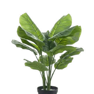 Künstliche Calathea orbifolia - Bill | 70 cm*
