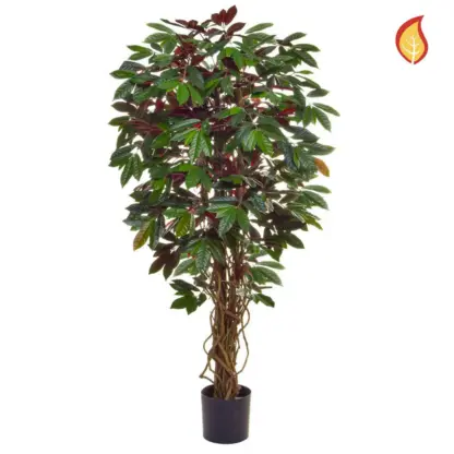 Künstliche Capensia - Michaela | 120 cm*