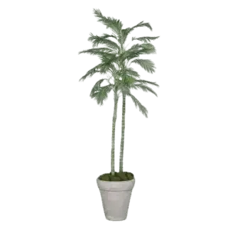 Künstliche Chico Palme - Richi | 180cm*