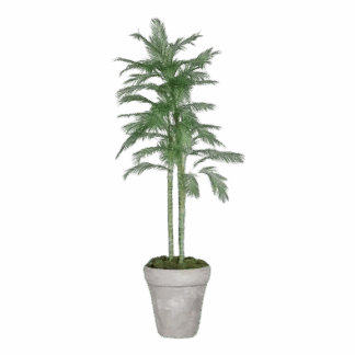Künstliche Chico Palme - Richi | 210 cm*