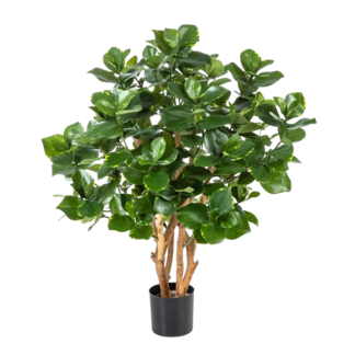 Künstliche Clusia - Thomas | 85 cm*