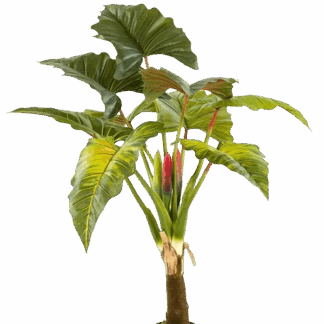 Künstliche Colocasia - Mika | 160 cm*