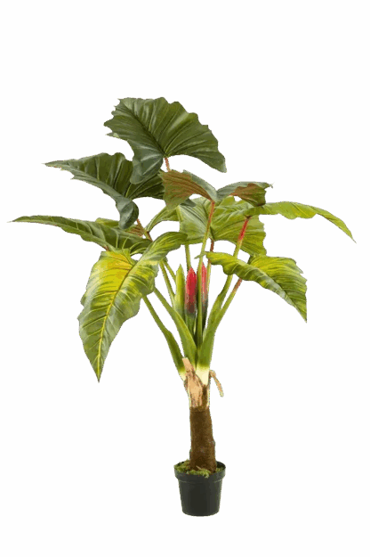 Künstliche Colocasia - Mika | 160 cm*