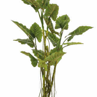 Künstliche Colocasia - Moritz | 195 cm*