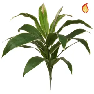 Künstliche Cordyline - Berta | 62 cm*