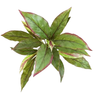 Künstliche Cordyline - Elsa | 30 cm*