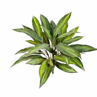 Künstliche Cordyline - Luca | 48 cm*