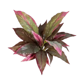 Künstliche Cordyline - Marc | 30 cm*