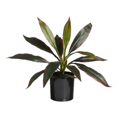 Künstliche Cordyline - Monti | 40 cm*