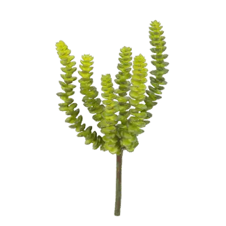 Künstliche Crassula - Hedi | 17 cm*