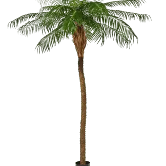 Künstliche Dattelpalme - Kaan | 225 cm*