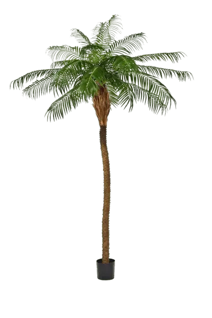 Künstliche Dattelpalme - Kaan | 225 cm*